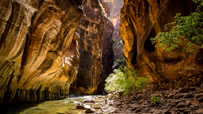 The Narrows: