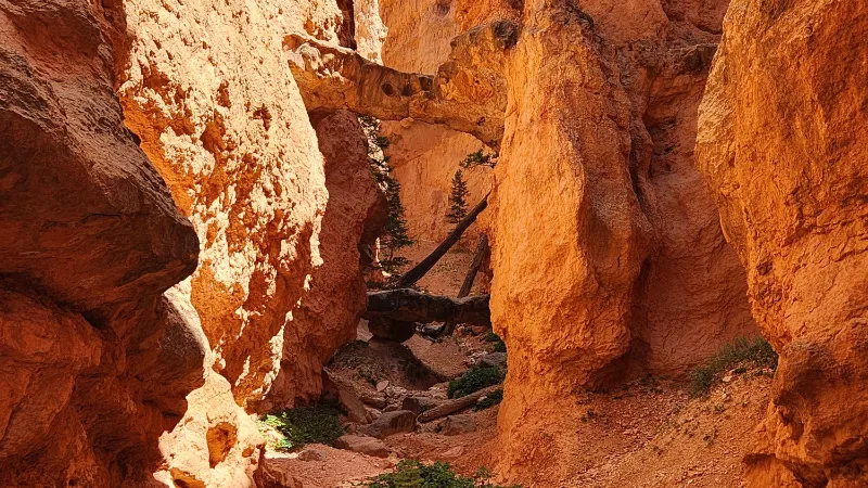 Navajo Loop Trail