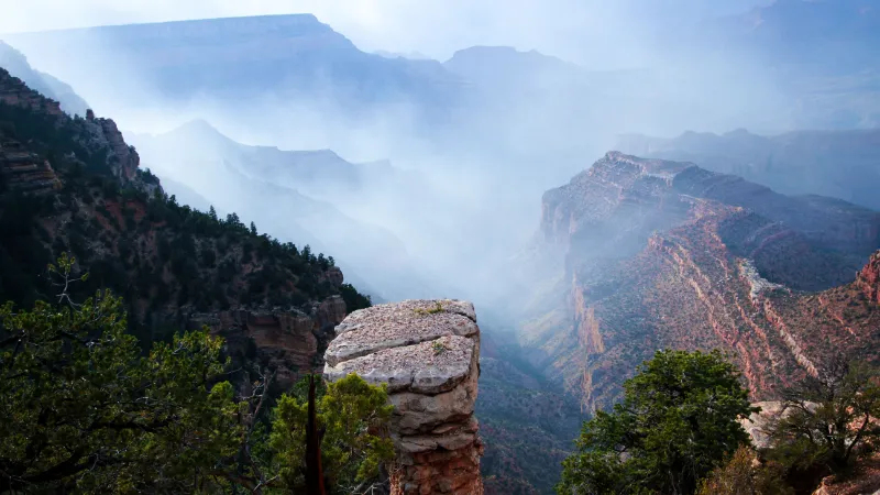 Miradores del South Rim del Gran Cañón entre neblina y pinos