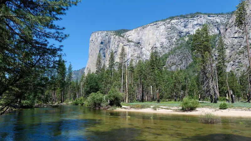 El río Merced con El Capitán al fondo