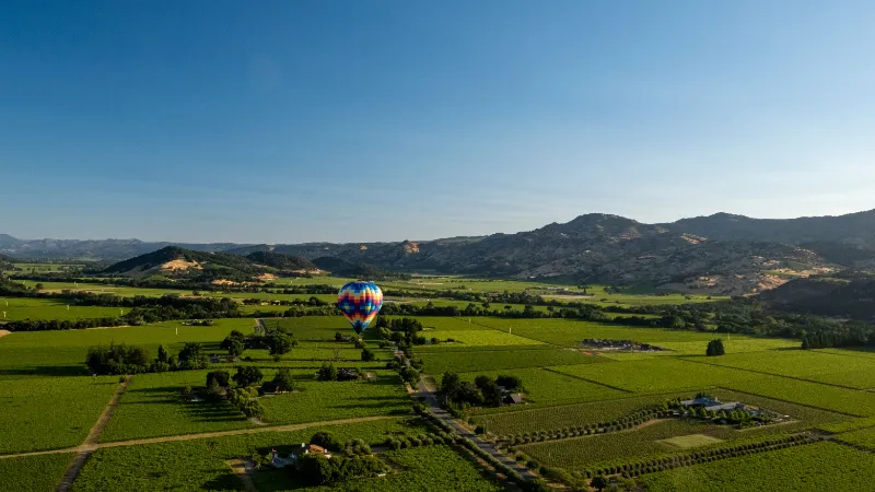 Un globo aerostatico sobre los vinedos de Napa Valley al amanecer