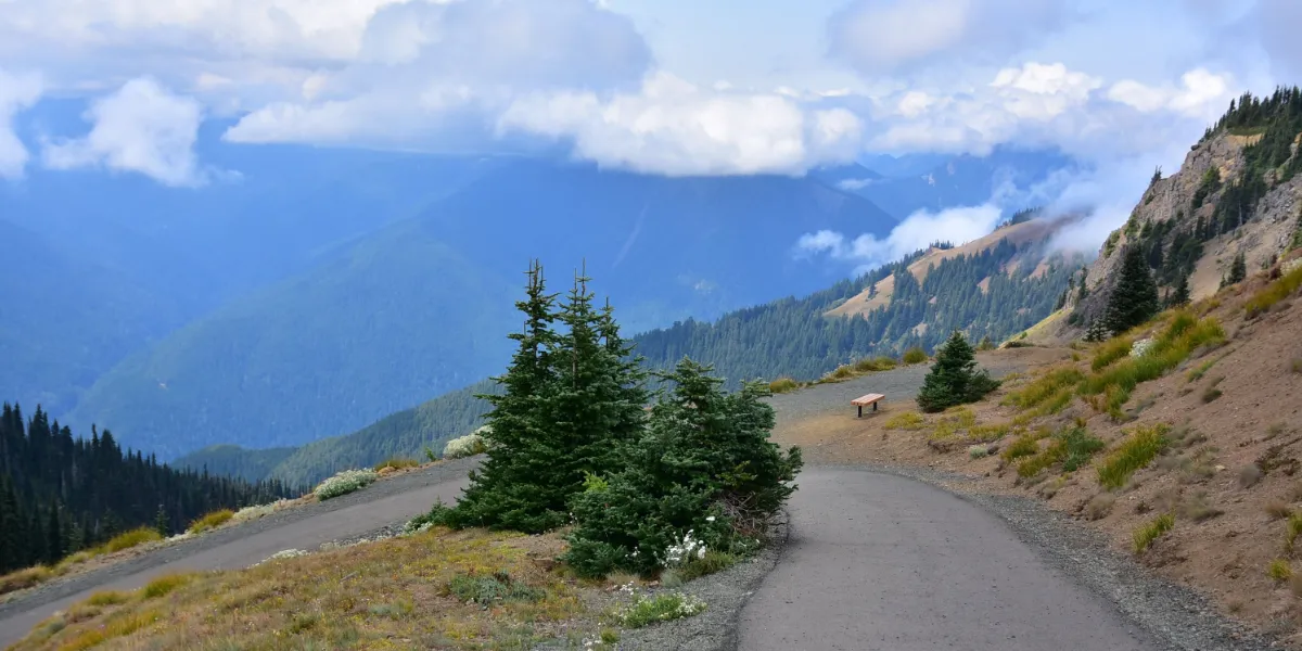 Cumbre y Praderas Alpinas de Hurricane Ridge