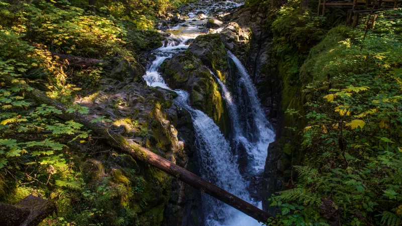 Cañón y Cascadas del Río Sol Duc