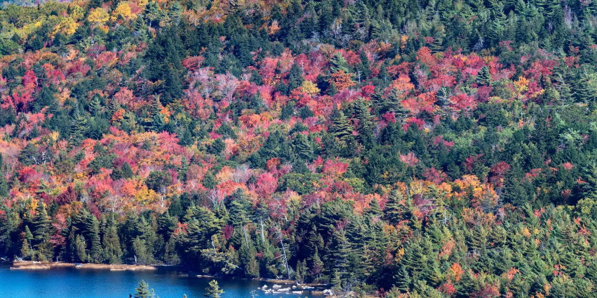 Bosques en color otoñal sobre un lago de Mount Desert Island, con las cumbres de Acadia al fondo