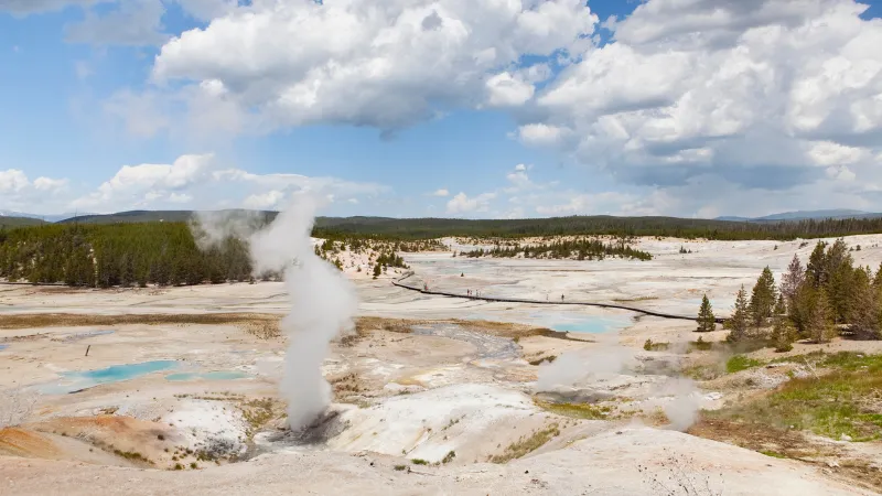 Norris Geyser Basin