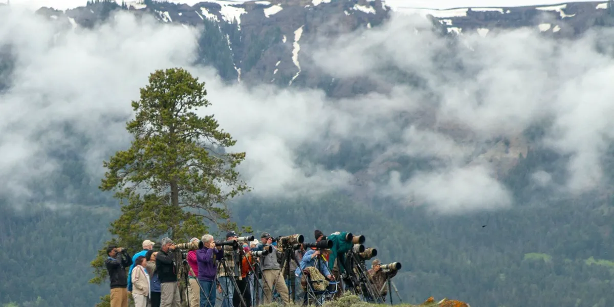 Lamar Valley: 