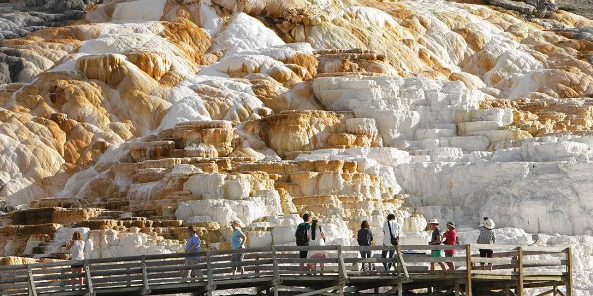 Mammoth Hot Springs: 