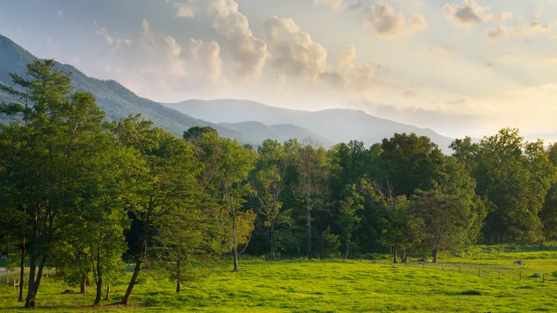 Cades Cove Loop, Great Smoky Mountains
