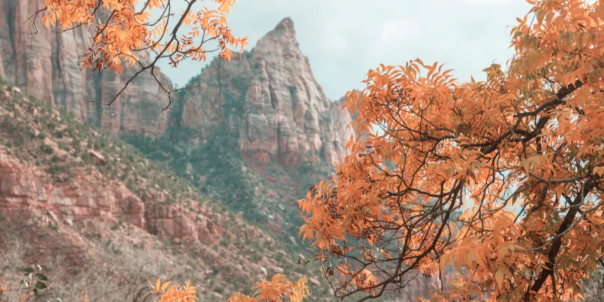 Ruta escénica de Zion National Park con colores de otoño en octubre