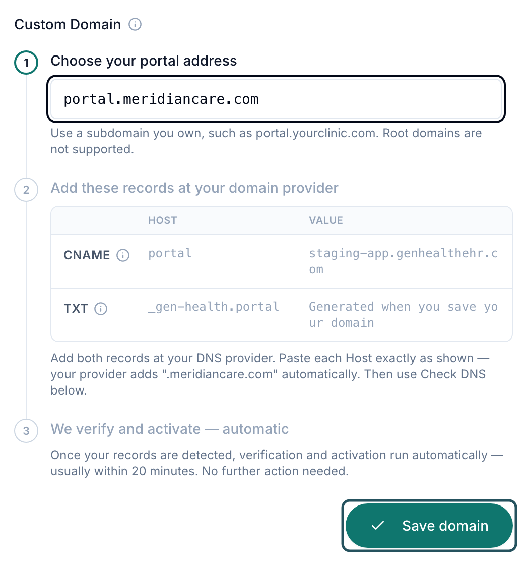 Custom Domain panel with a subdomain typed, the CNAME and TXT records to add, and Save domain highlighted