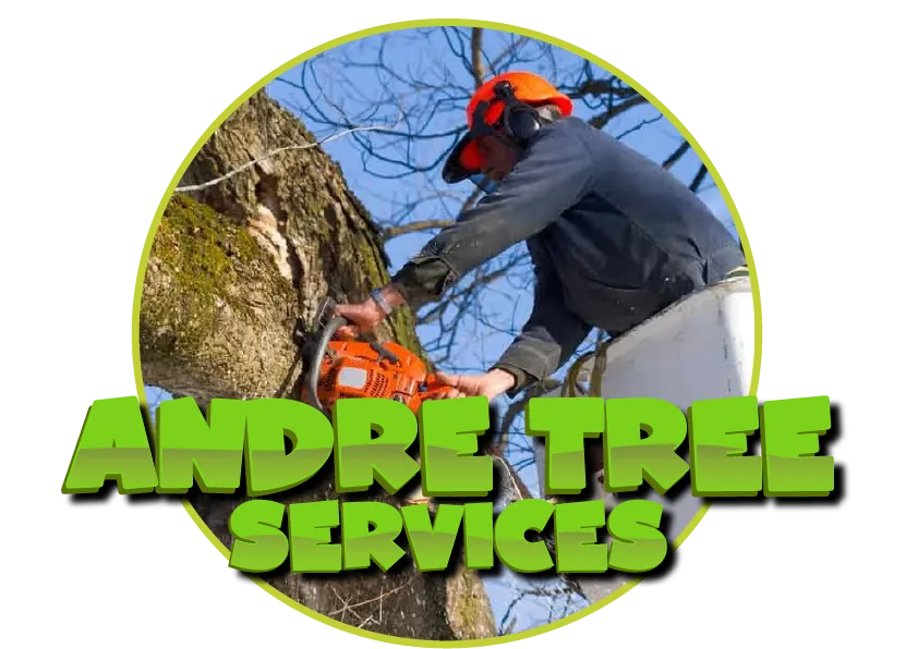 Andre Tree Services