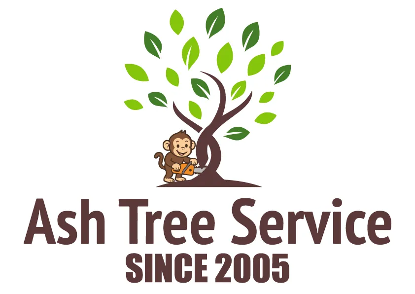 Ash Tree Services