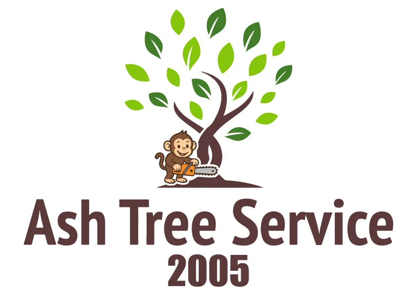 Ash Tree Services