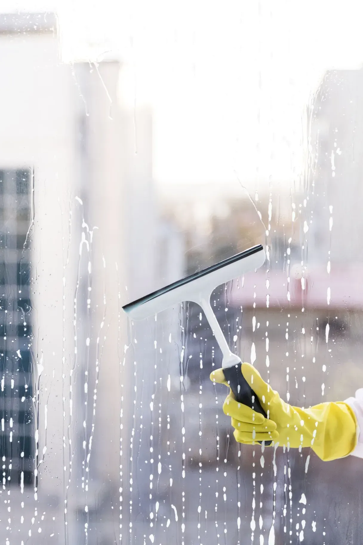 Residential window Cleaning