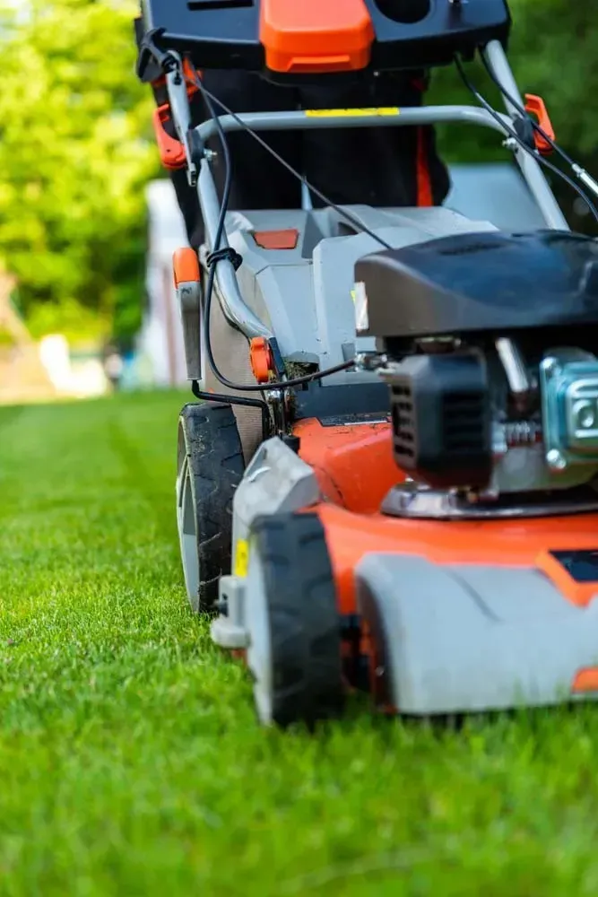 Lawn Service