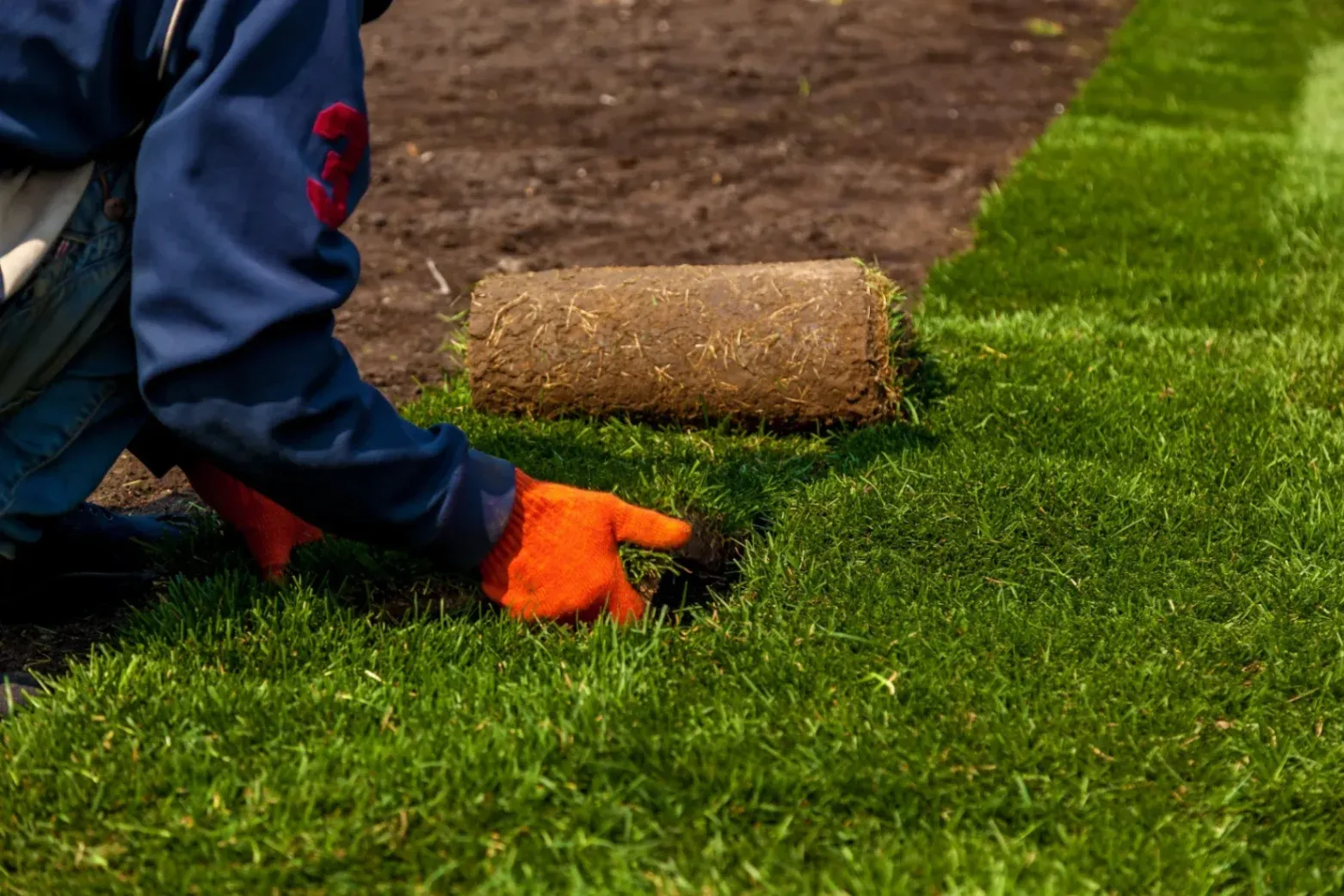 Hernandez Landscaping & Lawncare LLC
