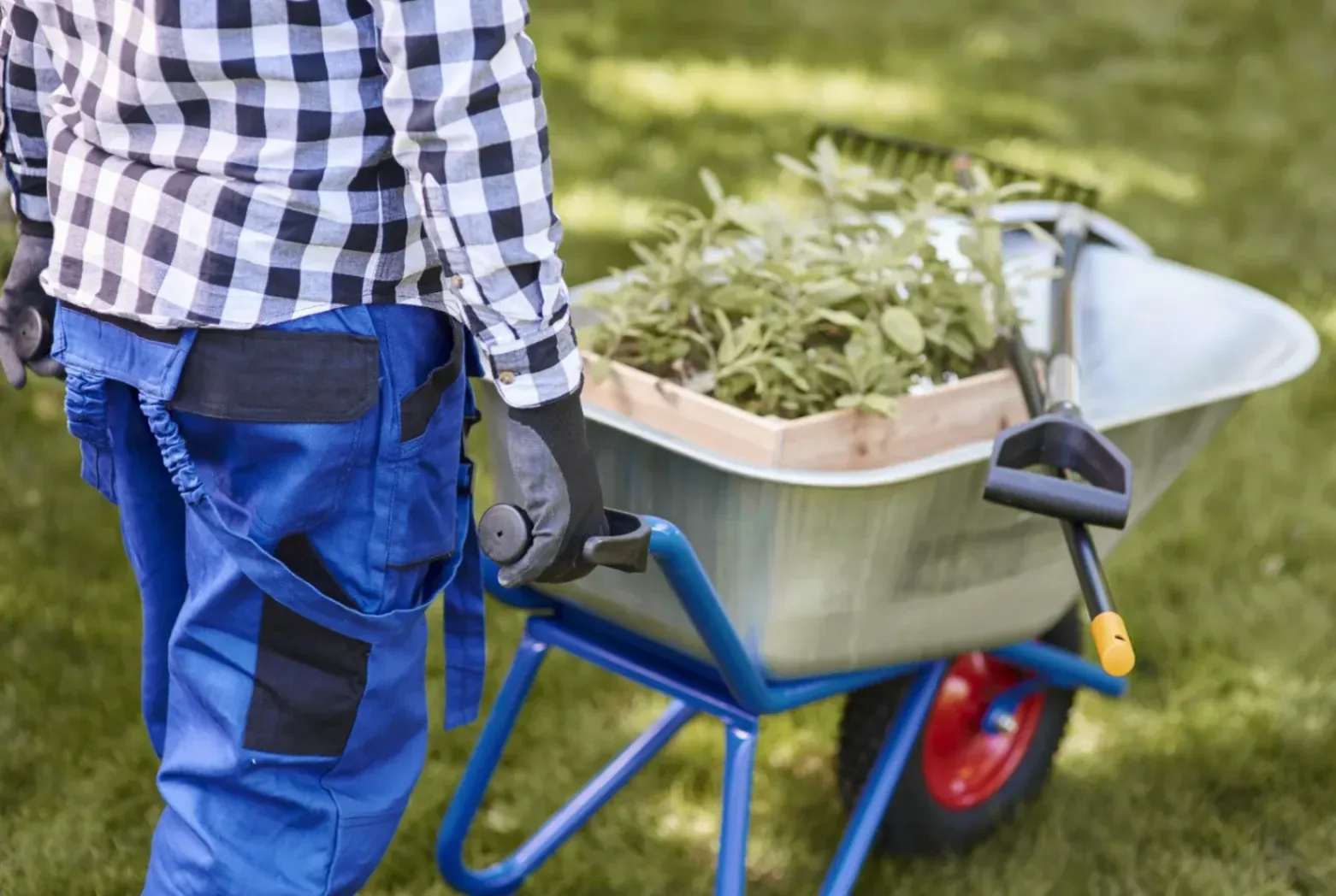 Spring and Fall Cleanups