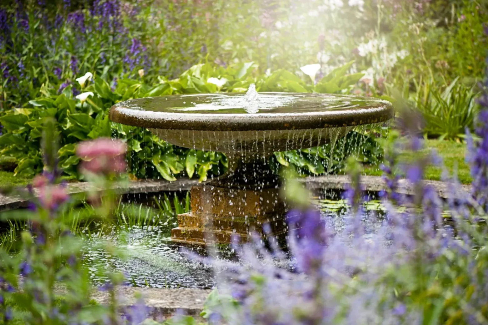 Water Features