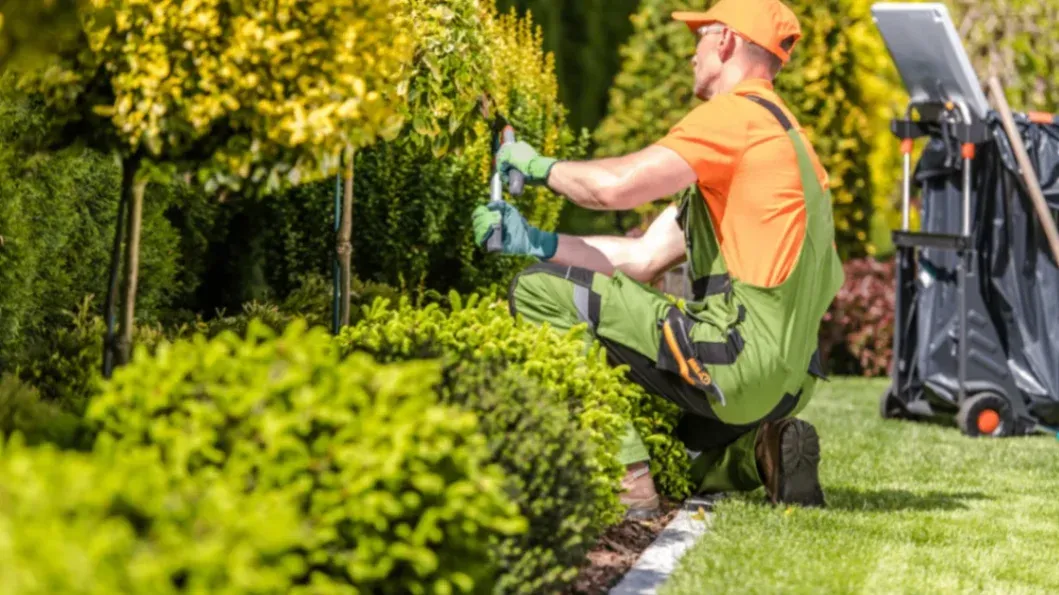 Bush and Hedge Trimming