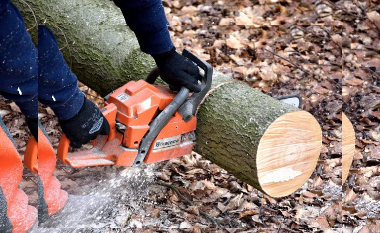 Tree Trimming