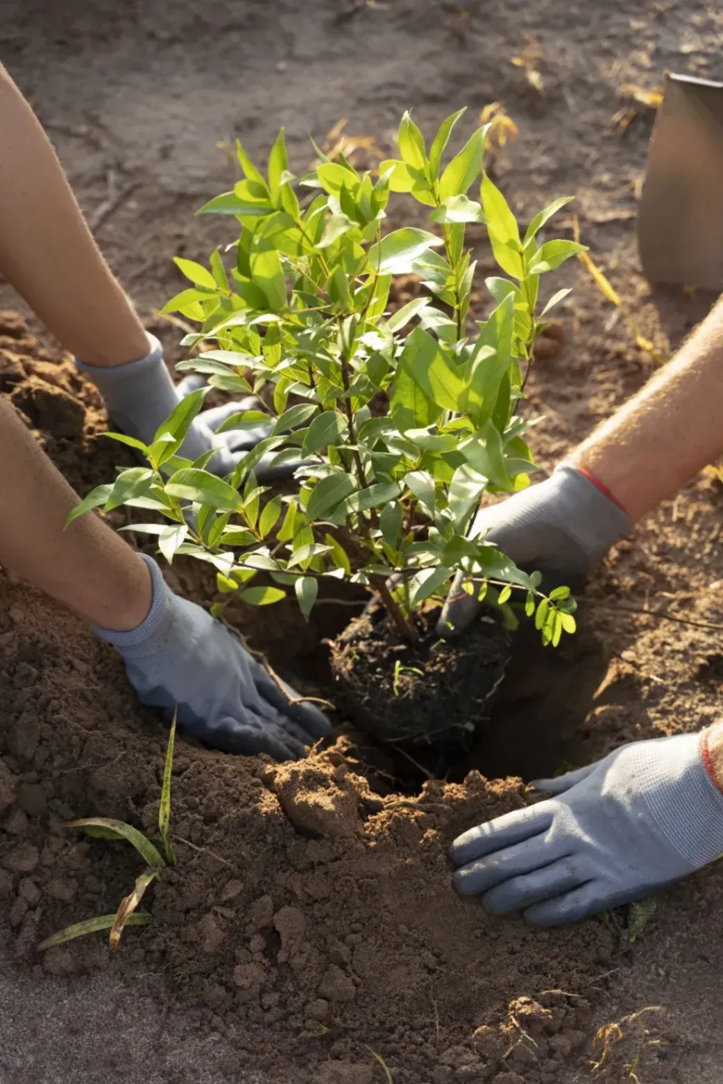 Seed Planting Solutions