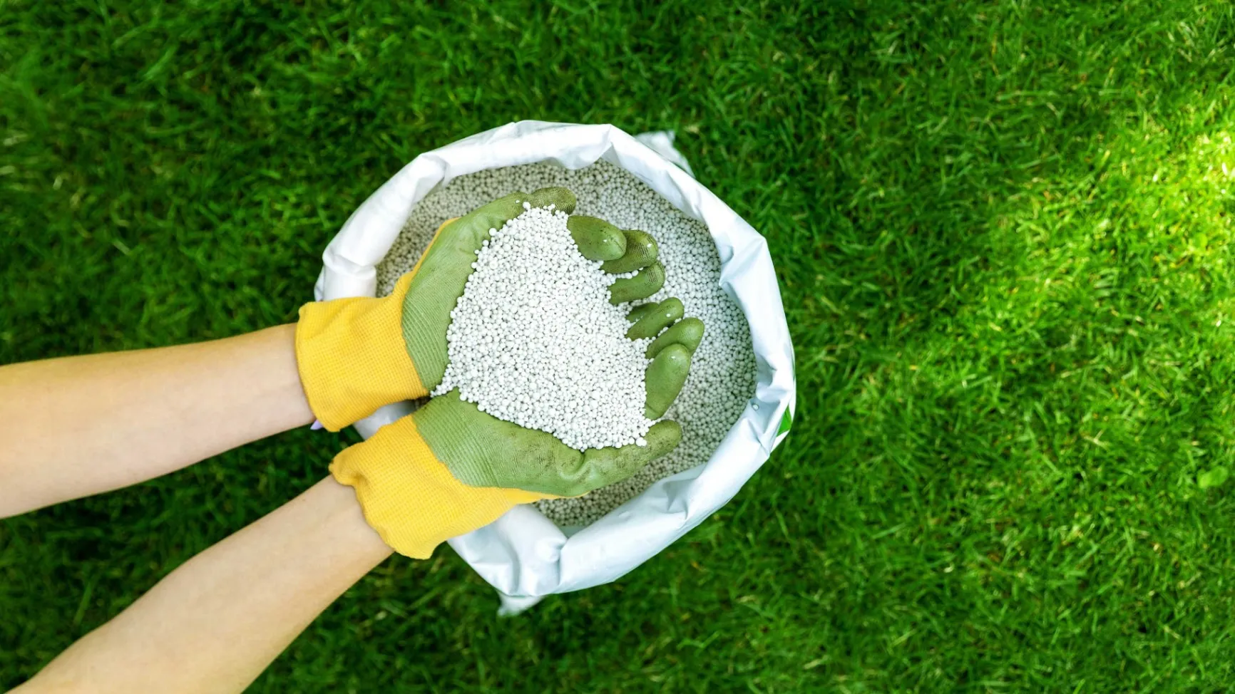 Fertilizing Your Lawn: What You Need to Know