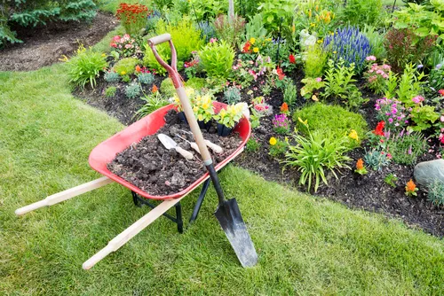 Sustainable Landscaping Practices for 2026