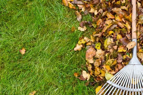 Winter Lawn Preparation Tips from Cortez Lawn Service