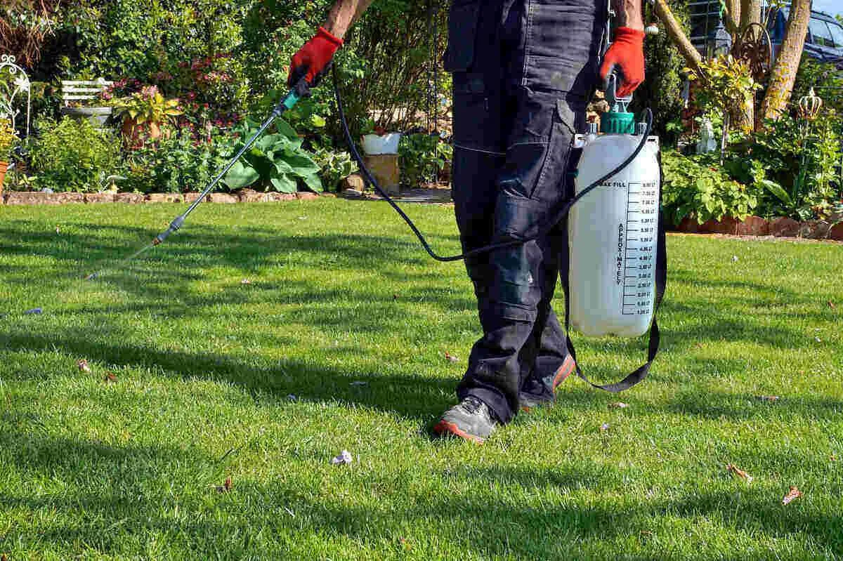 Effective Weed Control Strategies for Winter