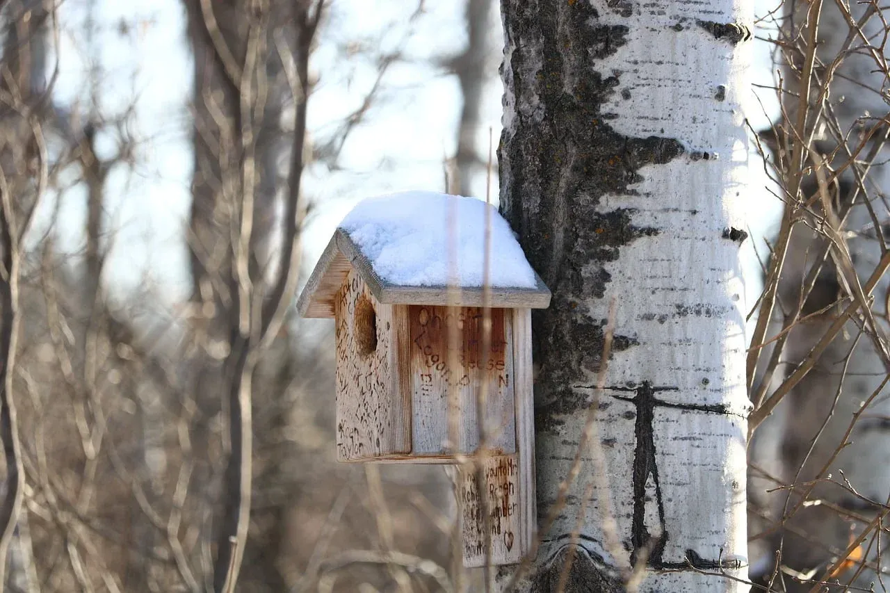 Winter Wildlife Habitat Tips