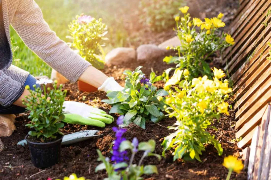 Spring Garden Planning Tips