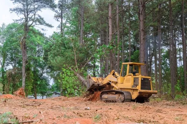 Land Clearing Company Guide for October