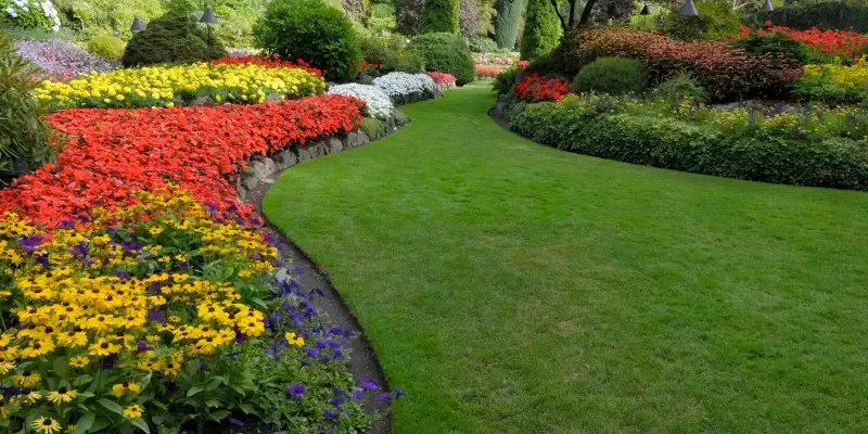 Creating a Flowering Paradise in Your Backyard
