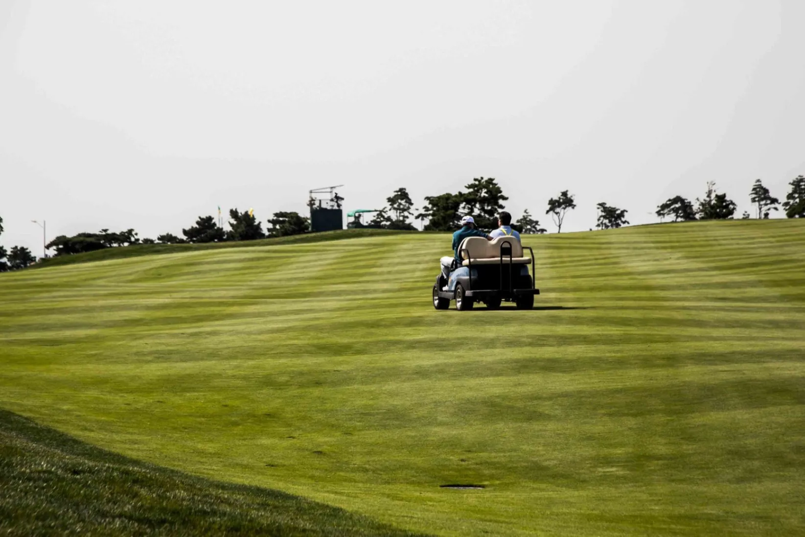 Services Yard Cleanup and Maintenance Services