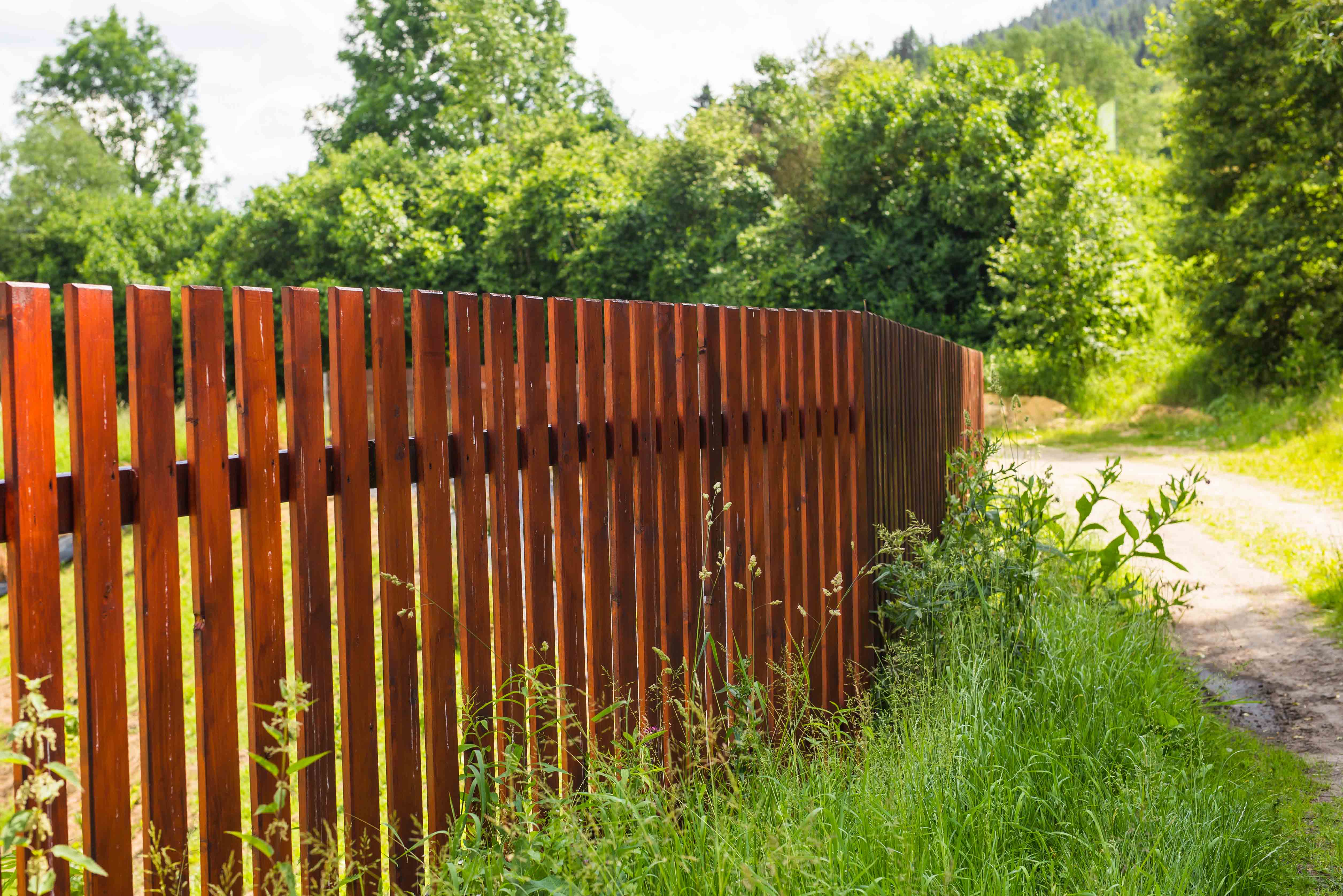 Fence Painting