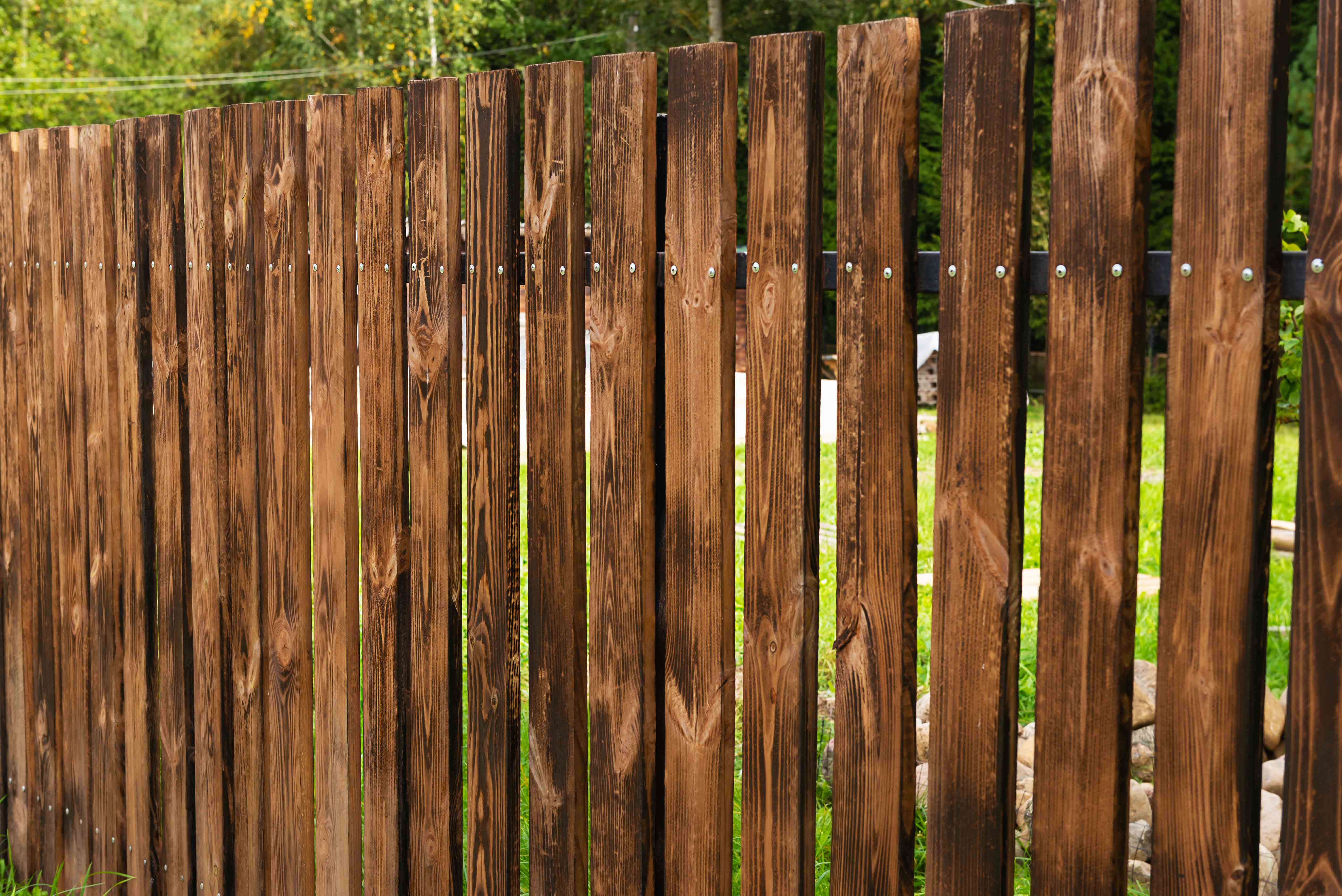 Fence Painting