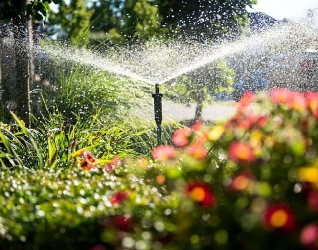 Sprinkler installation & Repair