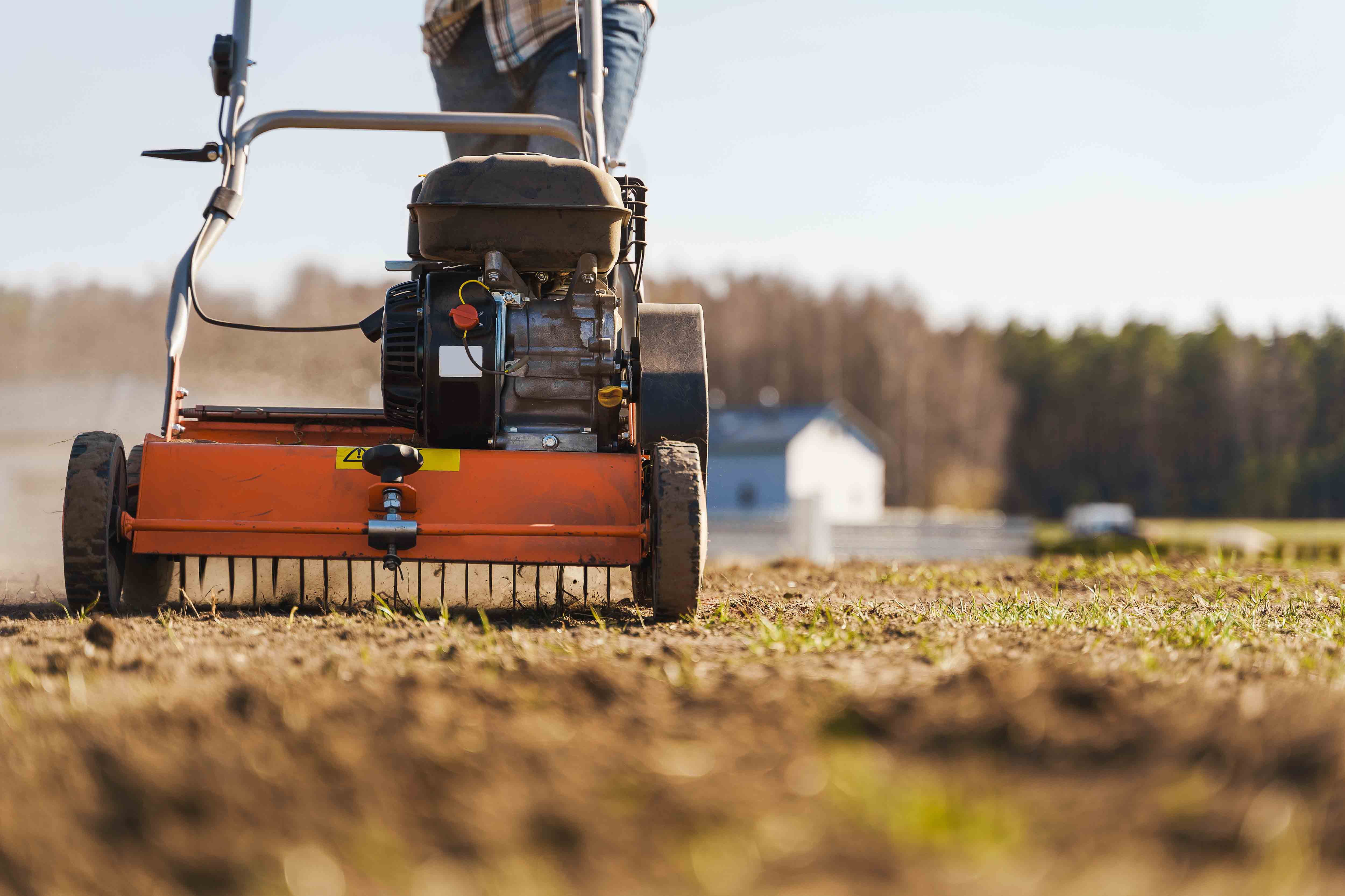 Lawn Aeration and Seeding