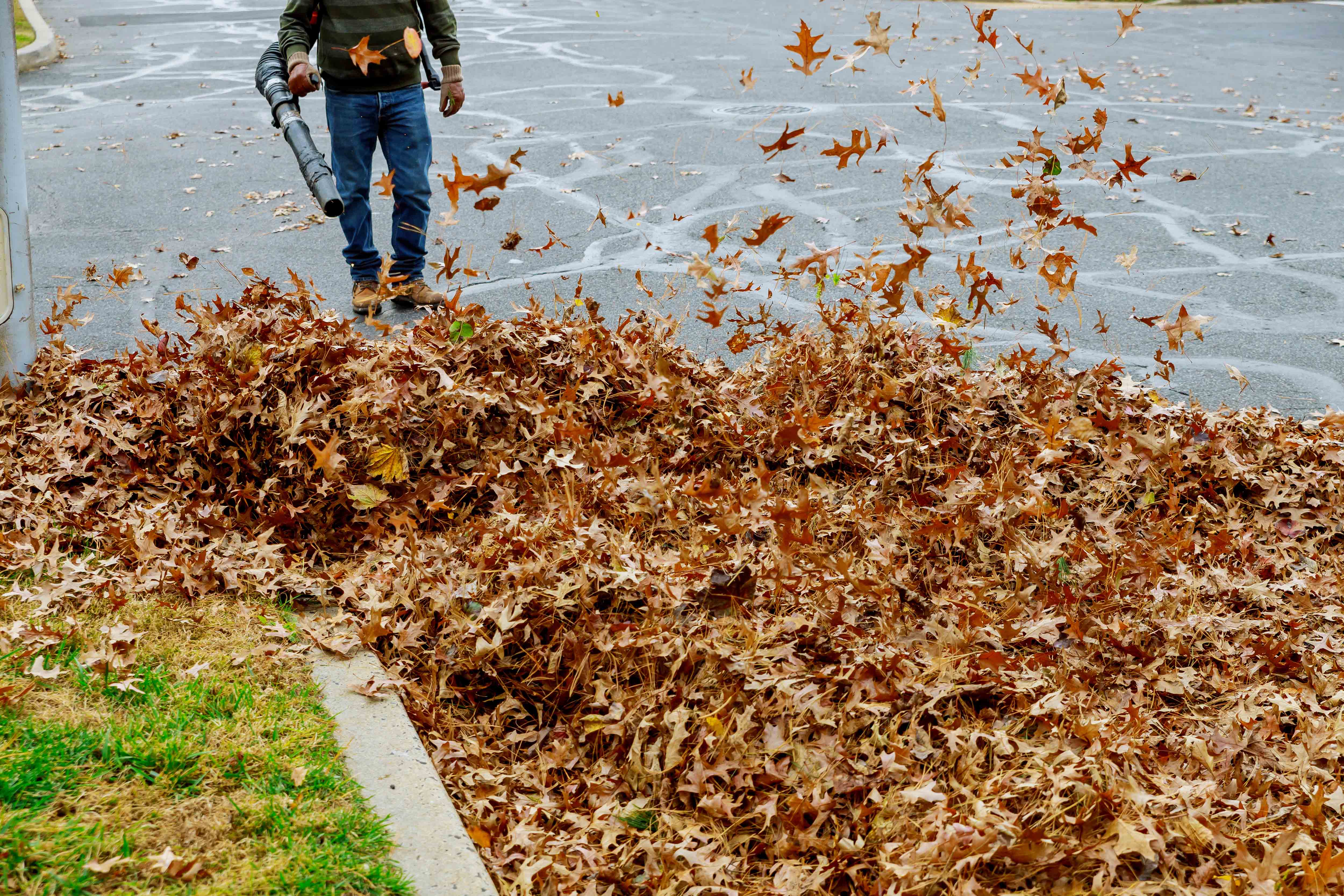 Leaf Blowing