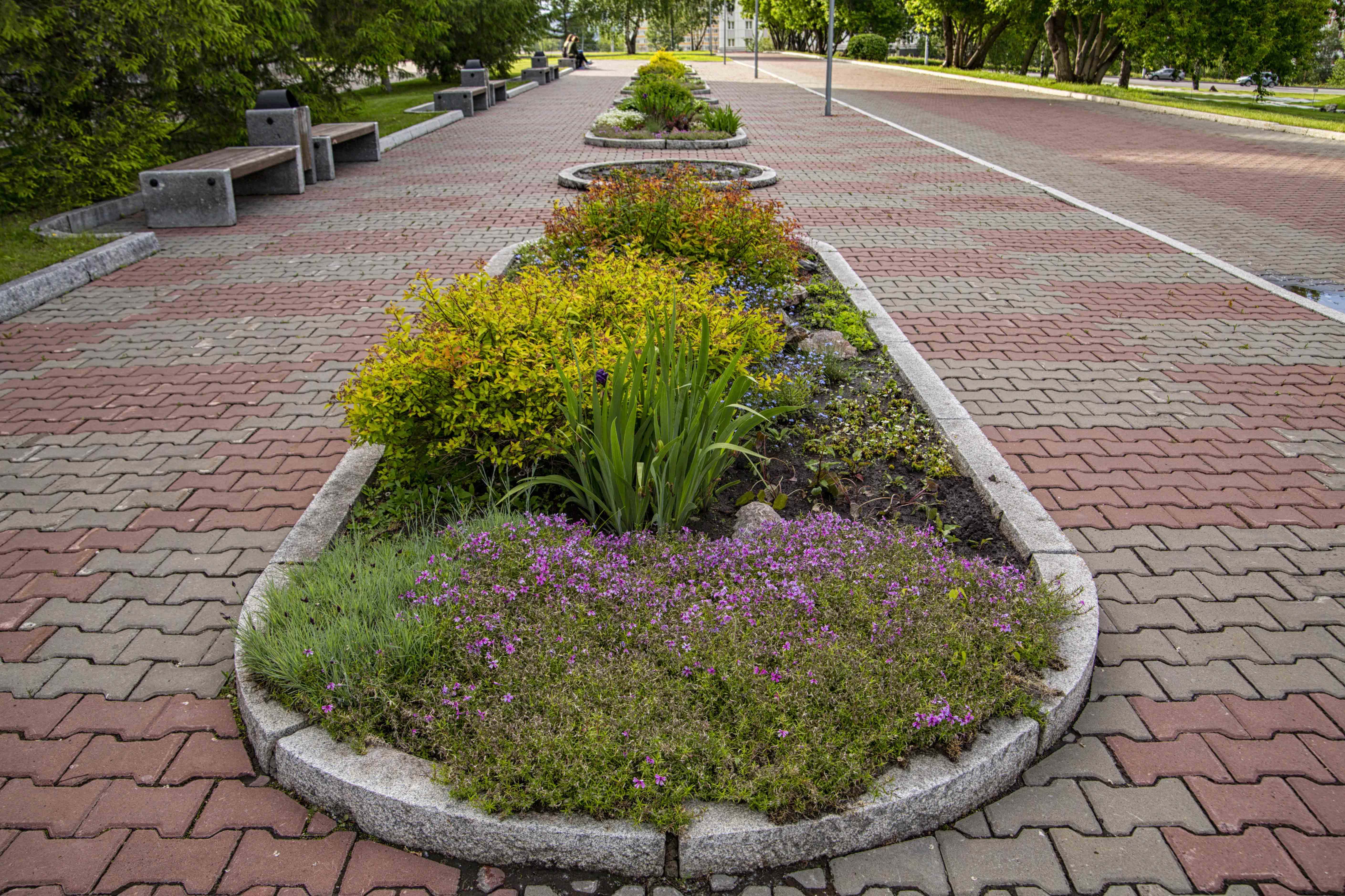 Landscape Curbing