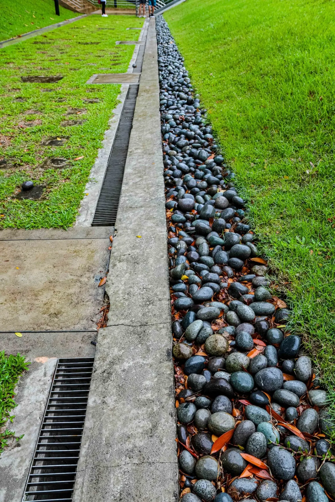 Lawn Drainage System