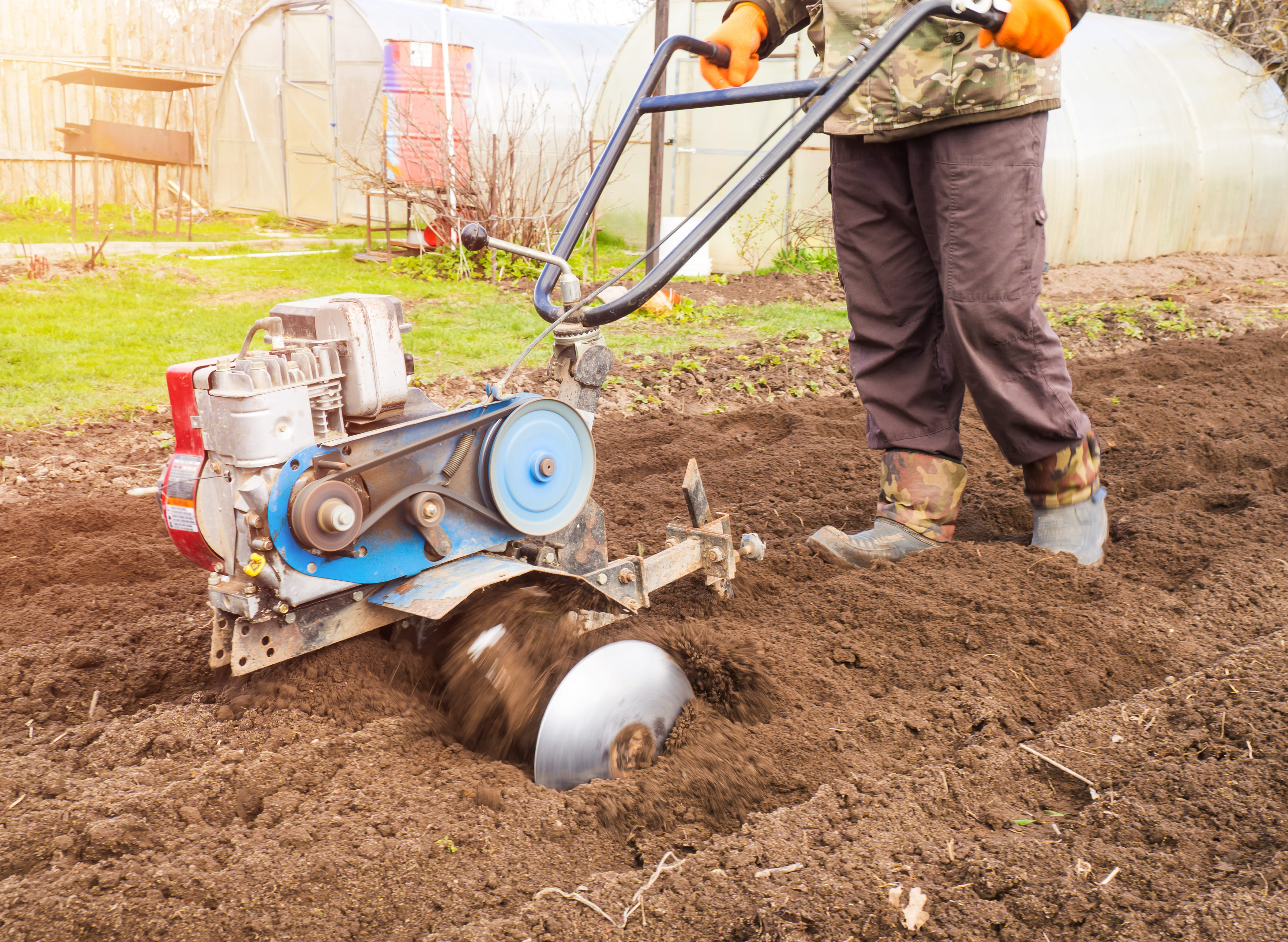 Grass Seeding