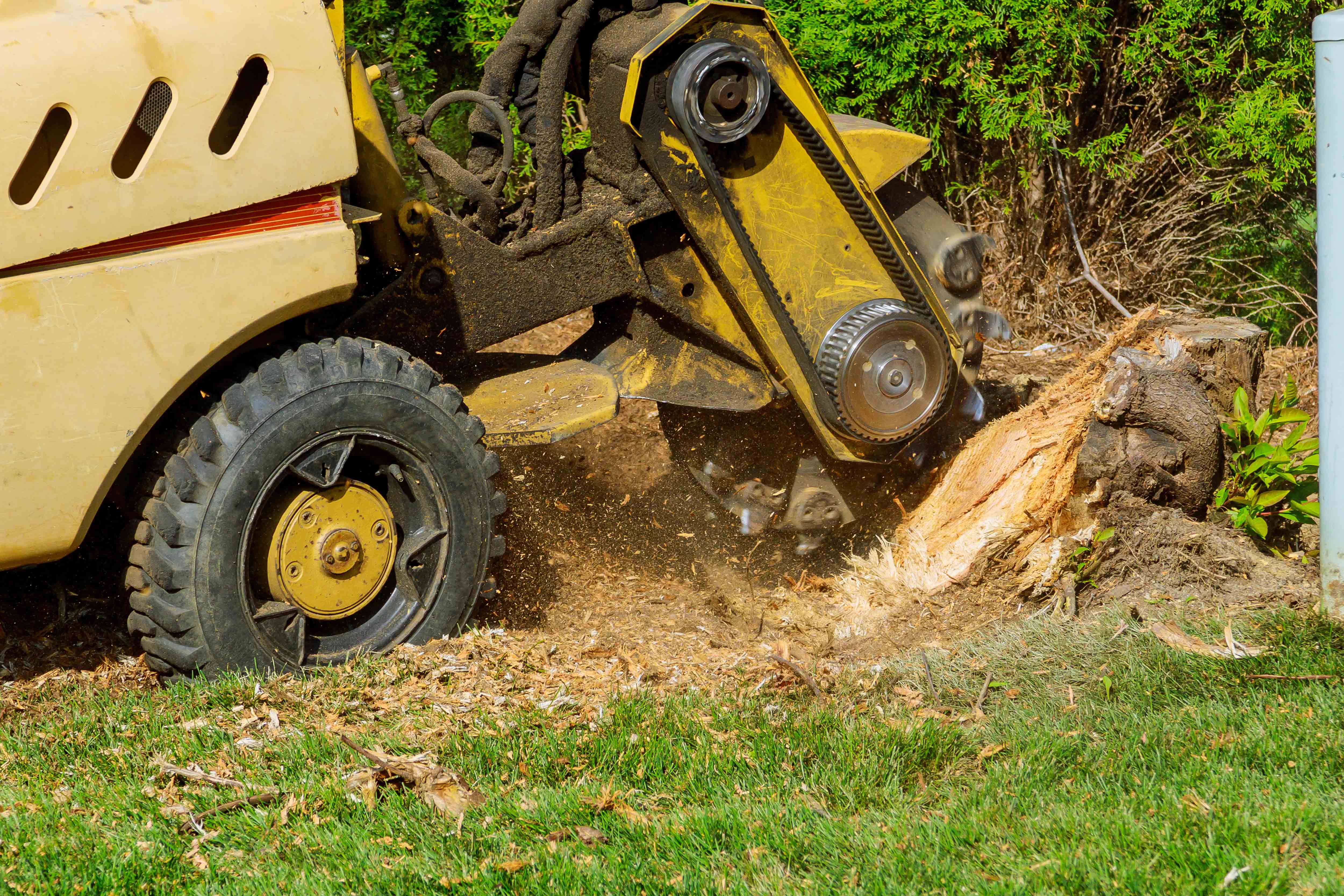 Stump Removal - Grinding