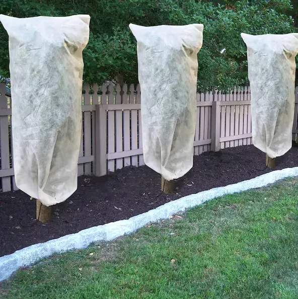 Winter plant protection
