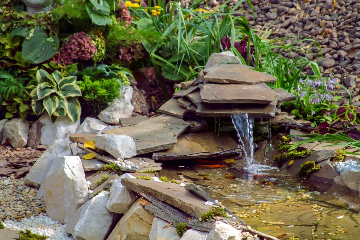 imagen Ponds Installation