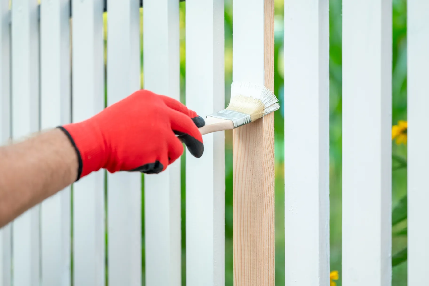 Deck and Fence Painting