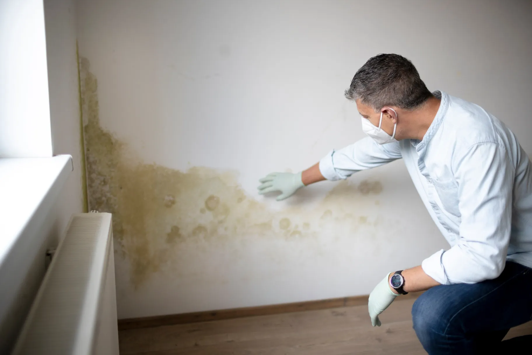 Mold Remediation