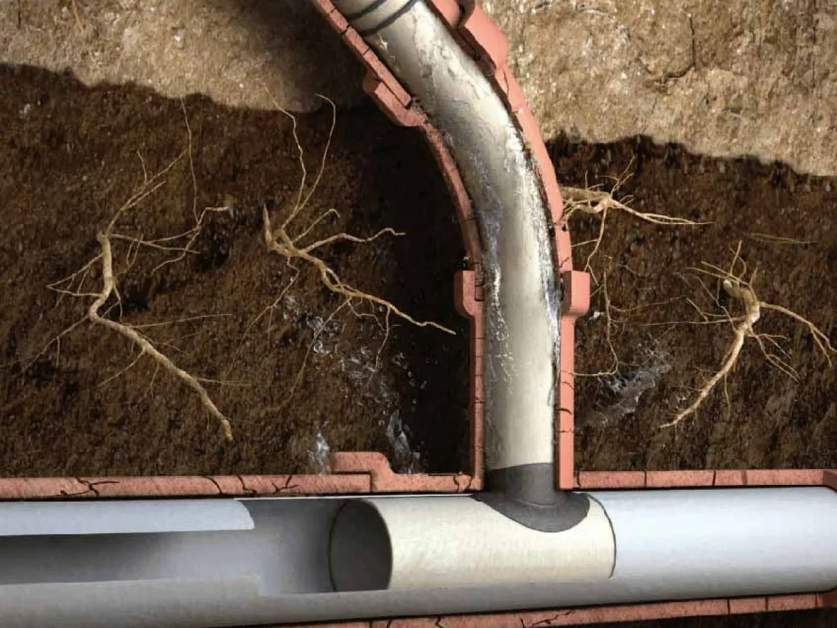 Main Sewer Lines