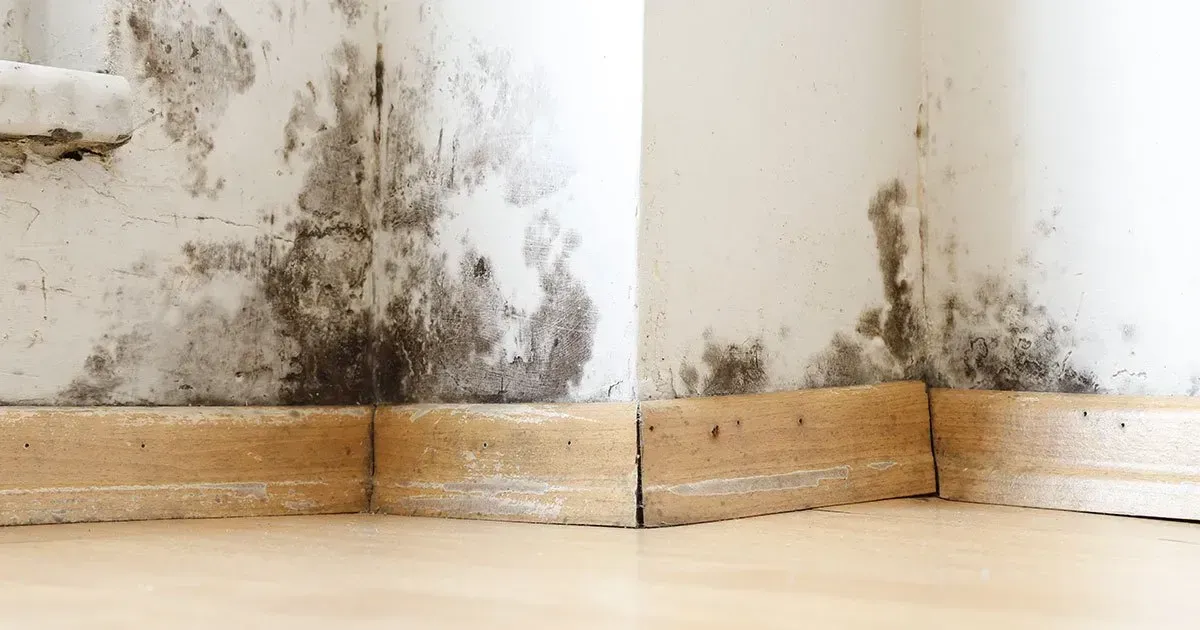 Water Damage