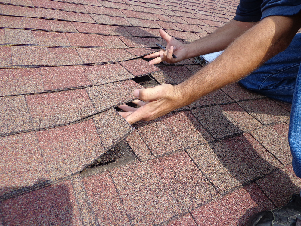 Shingle Roofing Maintenance